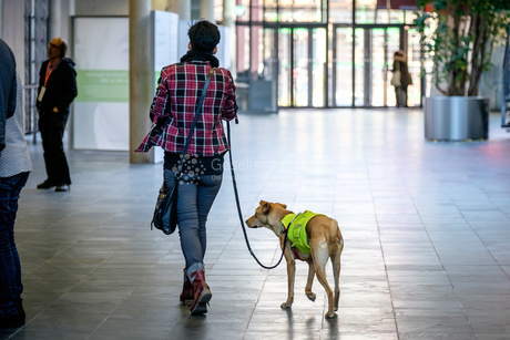 openTransfer CAMP #Inklusion 2016 in München #otc16