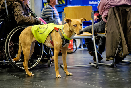 openTransfer CAMP #Inklusion 2016 in München #otc16
